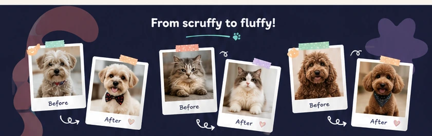 Before and after pet grooming gallery